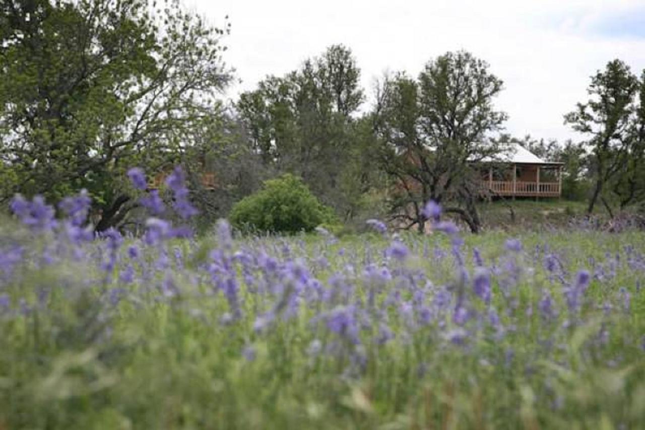City On A Hill At Spring Creek Фредериксбург Екстериор снимка